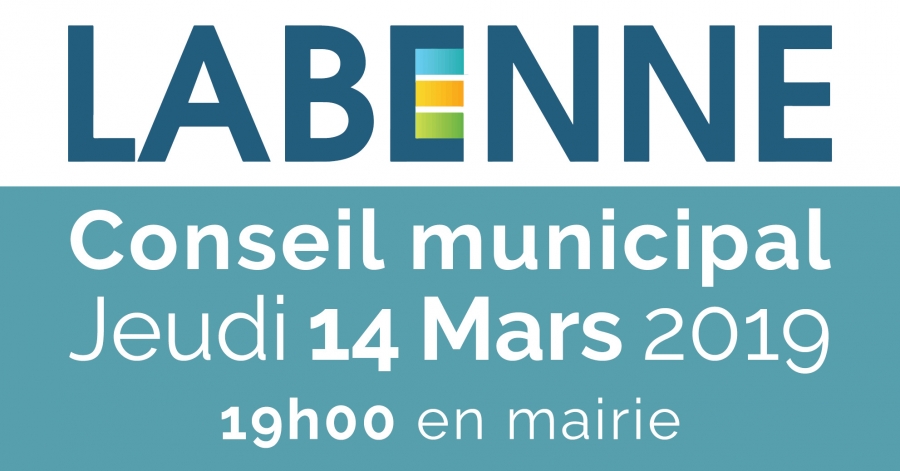 conseil_municipal_14_03_2019_FB