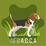 INFO ACCA BATTUE LABENNE 24/09/2023